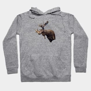 Moose! Hoodie